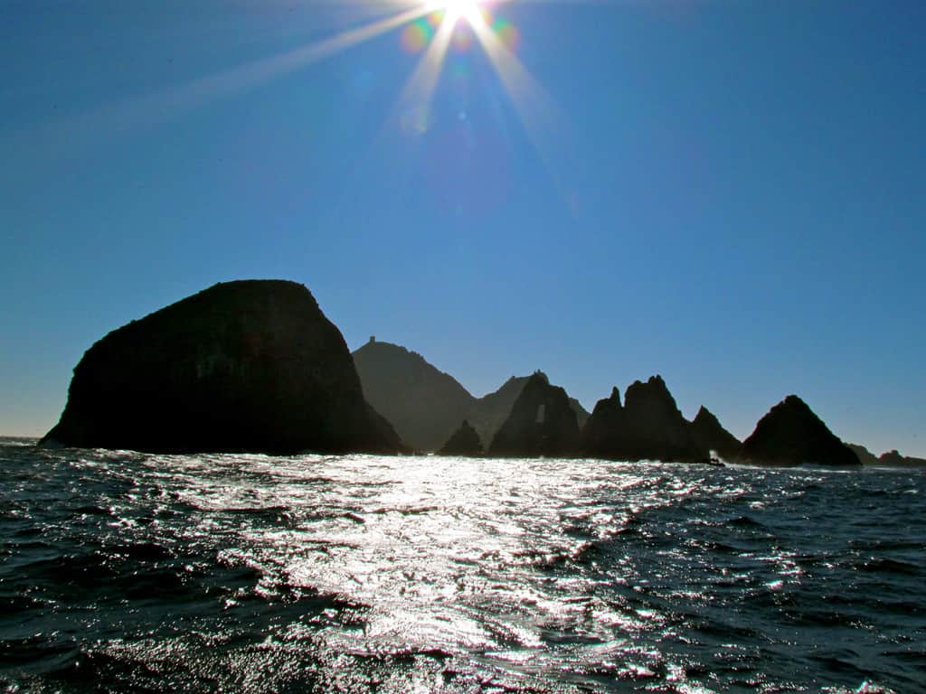 shark cage diving - Top Shark Cage Diving Hotspots in the World Shark cage diving in Gansbaai, South Africa