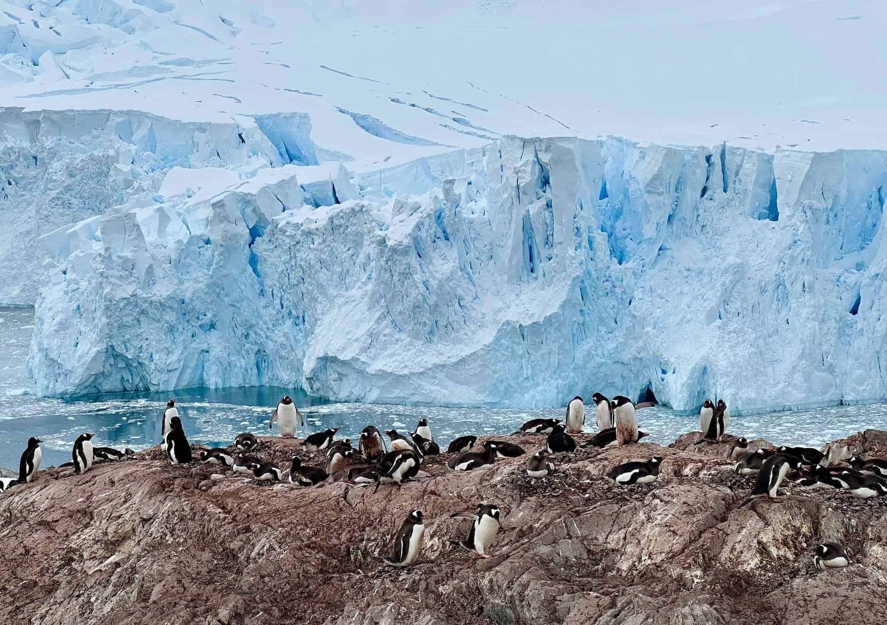 How to Plan a Trip to Antarctica - How to Plan a Trip to Antarctica Scenes from Antarctica