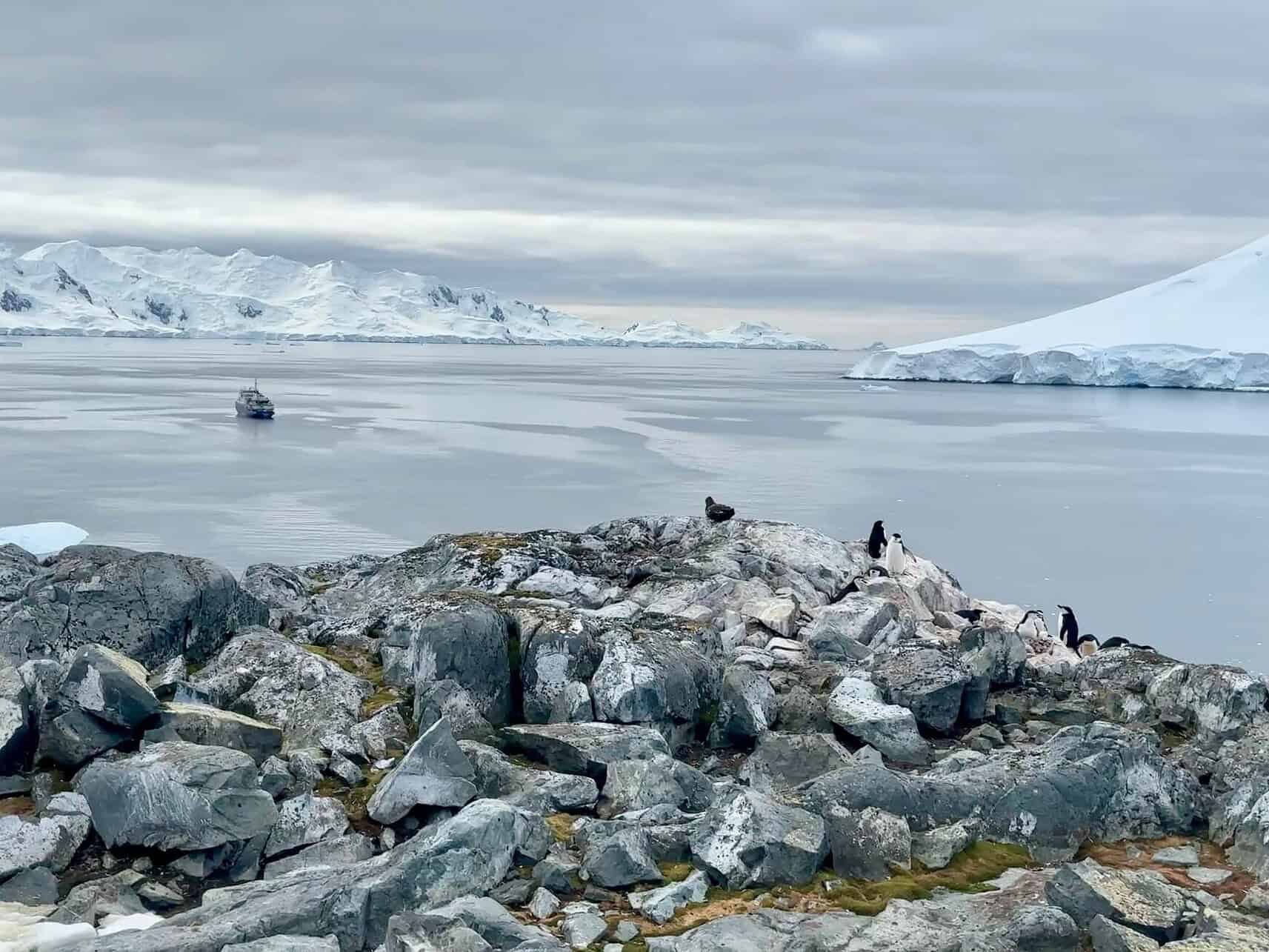 How to Plan a Trip to Antarctica - How to Plan a Trip to Antarctica How to plan a cruise in Antactica