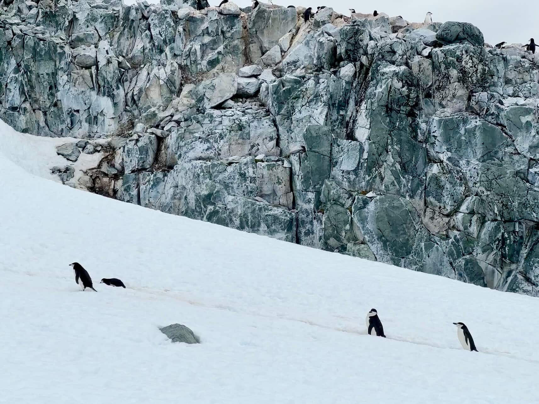 How to Plan a Trip to Antarctica - How to Plan a Trip to Antarctica Scenes from Antarctica
