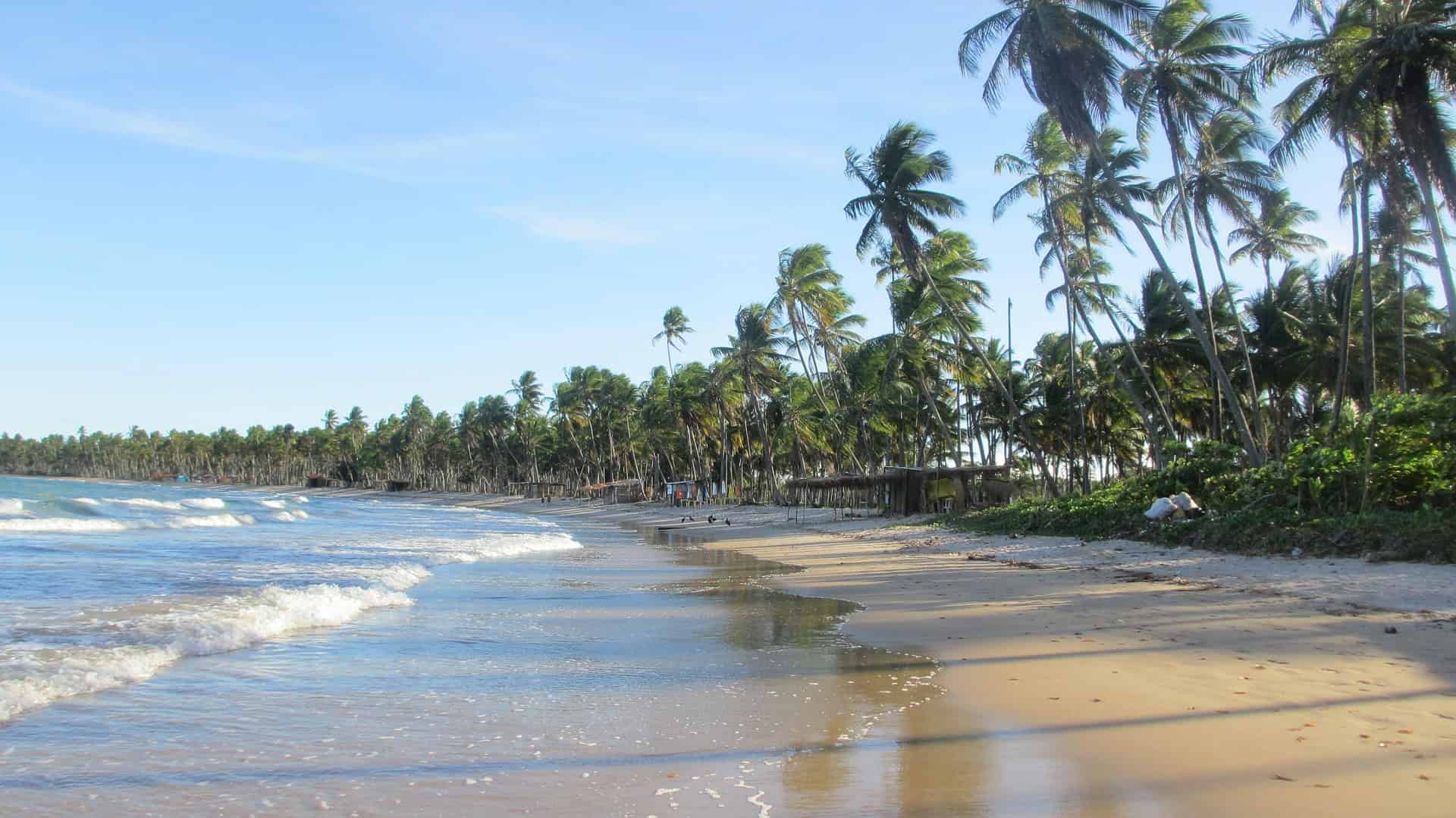 - From Chaos to Connectivity: Overcoming Travel Challenges in Brazil with eSIM Technology Beach in Biopeba, Bahia, Brazil.