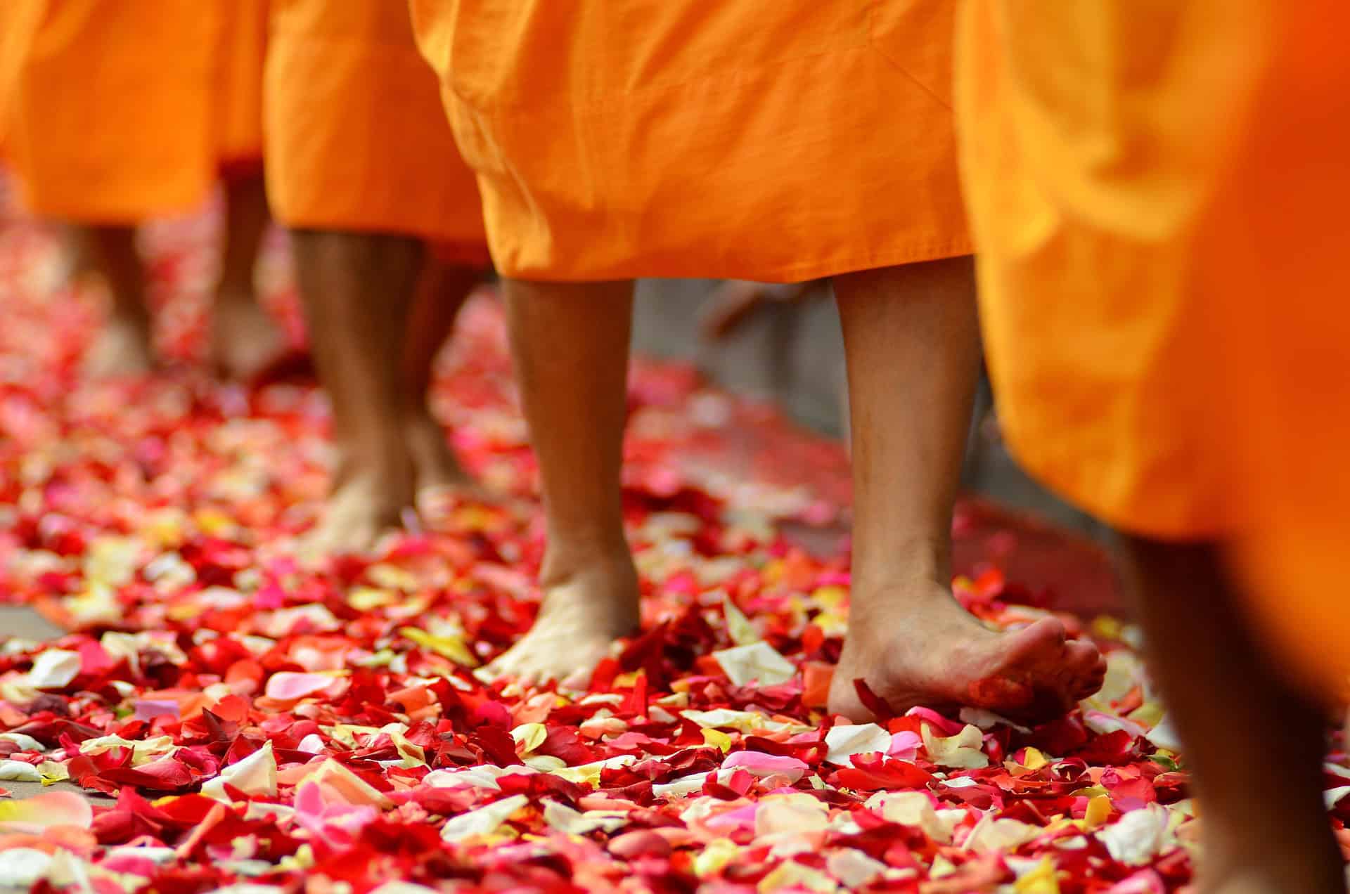 wed in thailand - Top Reasons to Wed in Thailand’s Paradise Buddhist monks walking on flowers.