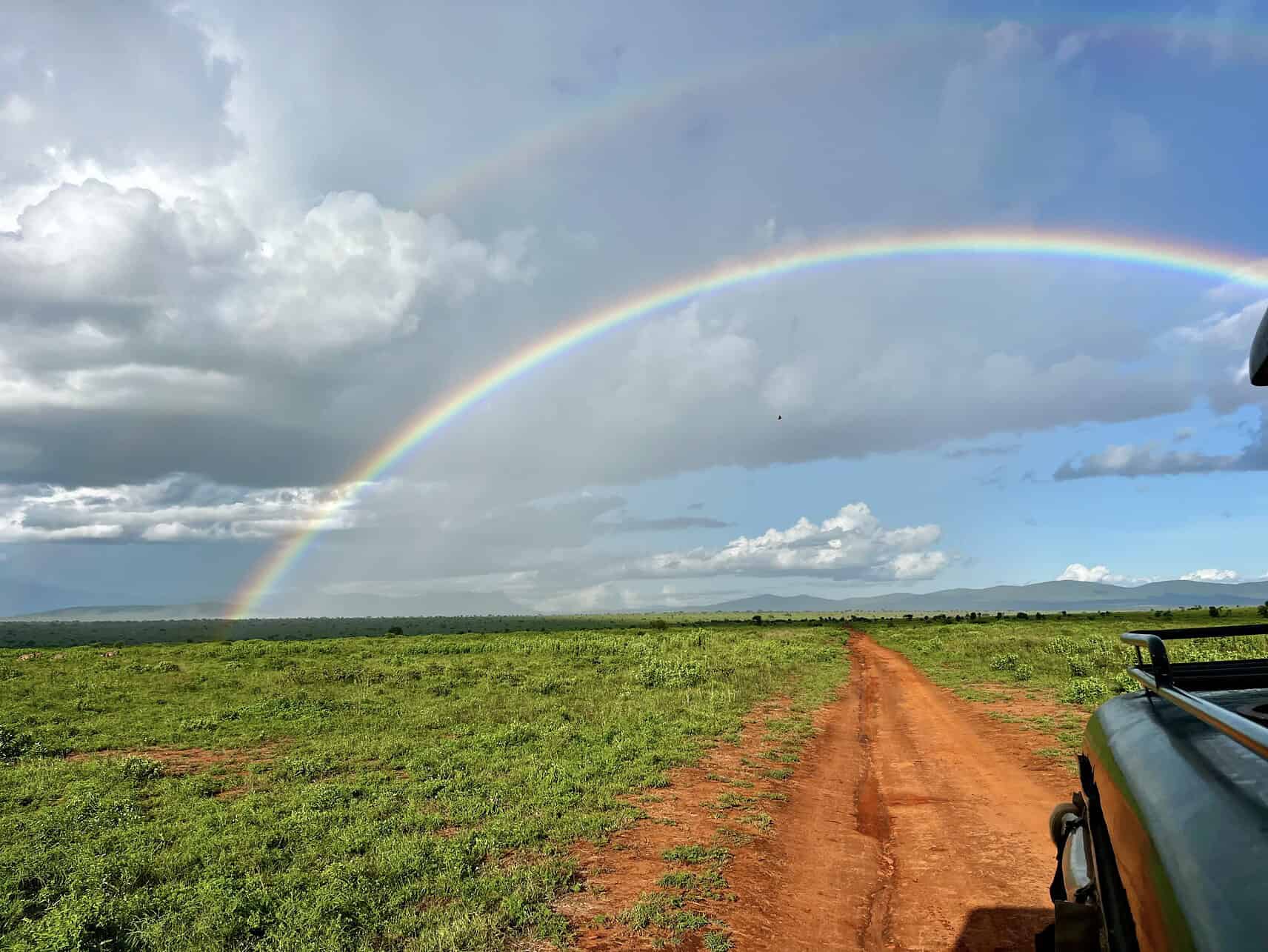 safari in kenya - The Best Times of the Year to Go on Safari in Kenya A safari in Kenya with a view from a safari vehicle of grass, a dirt road, and a rainbow.