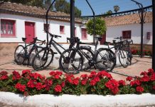 Bicycles at Cortijo del Arte in Spain.