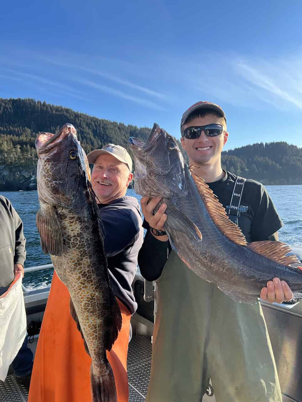 fishing in alaska - Fishing in Alaska Fishing in Alaska at the Treehouse Cove Lodge in Alaska, USA.