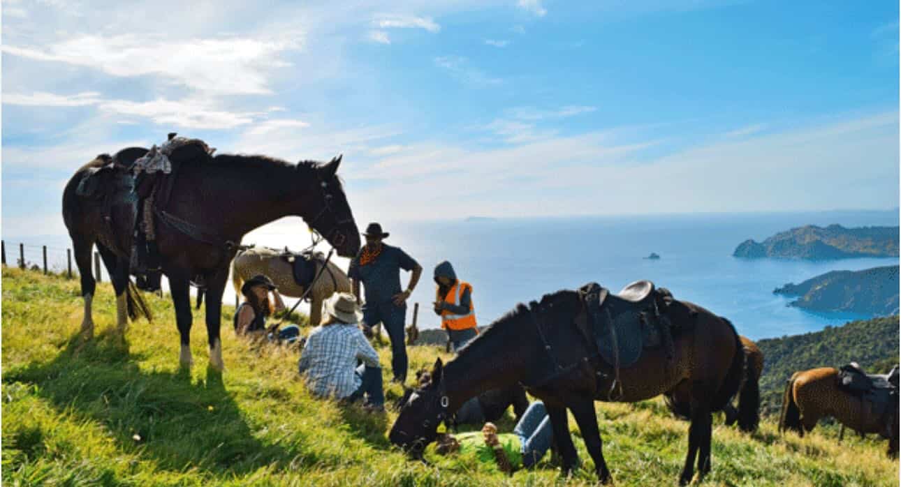 Tips for Active Holidays - Tips for Active Holidays Horse riding along Spain's coasts.