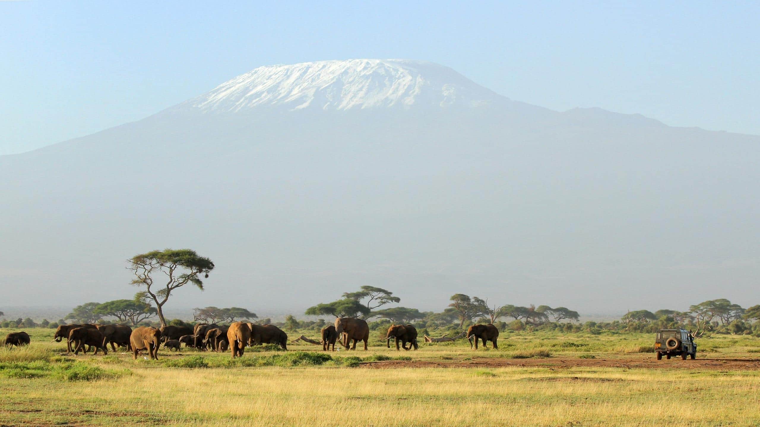 best time to climb Mount Kilimanjaro - Best Time to Climb Mount Kilimanjaro A view of Mount Kilimanjaro from Amboseli National Park