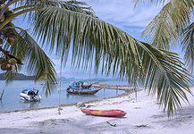 Things to do in Koh Samui