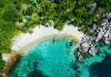 Top Koh Tao Diving Sites