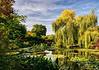 Monet's Garden in Giverny, France.