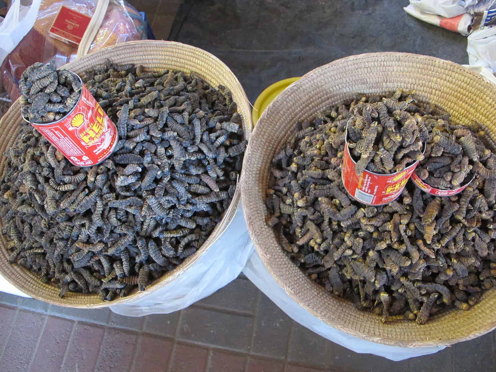 Namibia food - A Foodie's Guide to Namibia Food Delicacy Mopane worms.