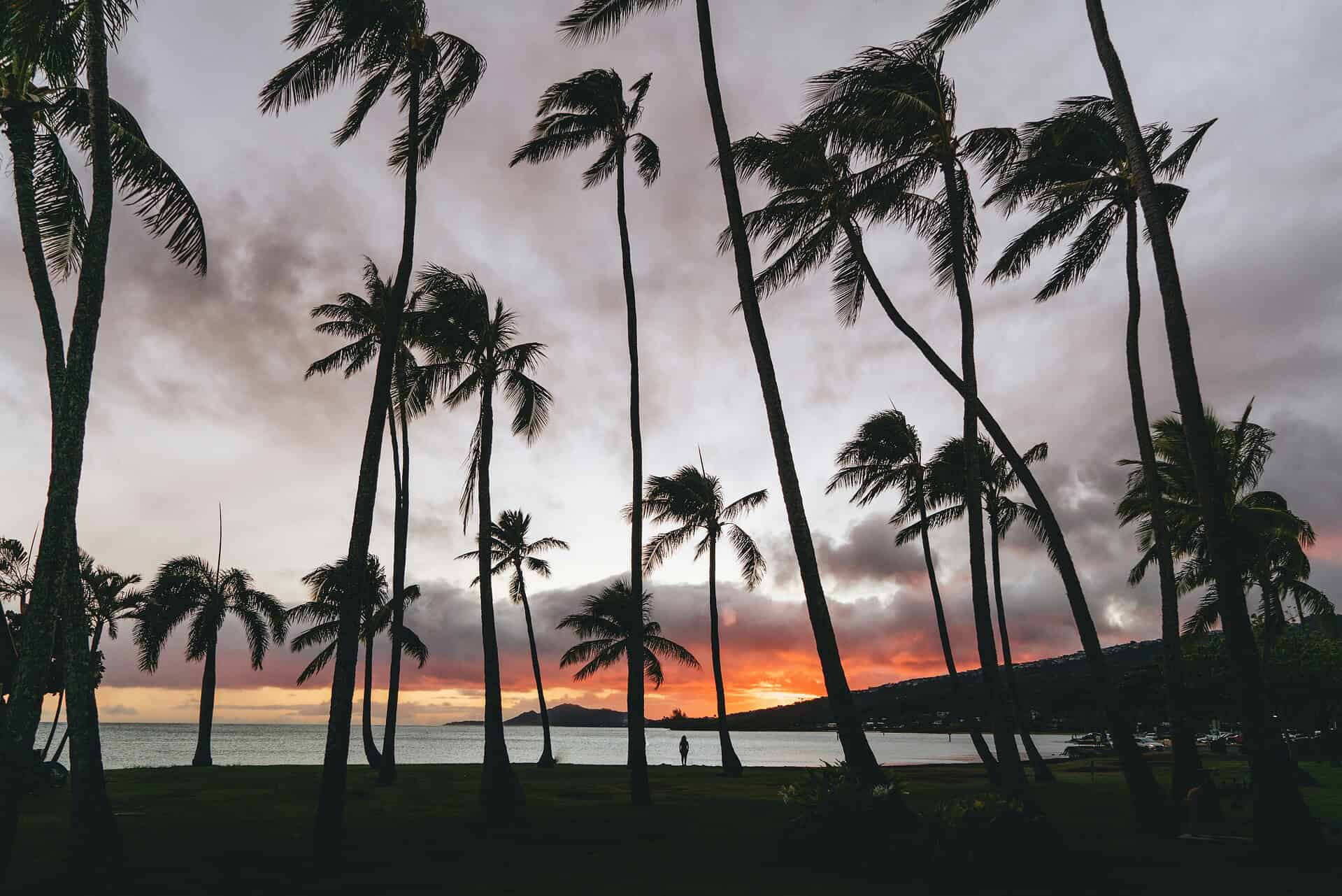 island hopping in hawaii - Tips for Island Hopping in Hawaii Island hopping in Hawaii