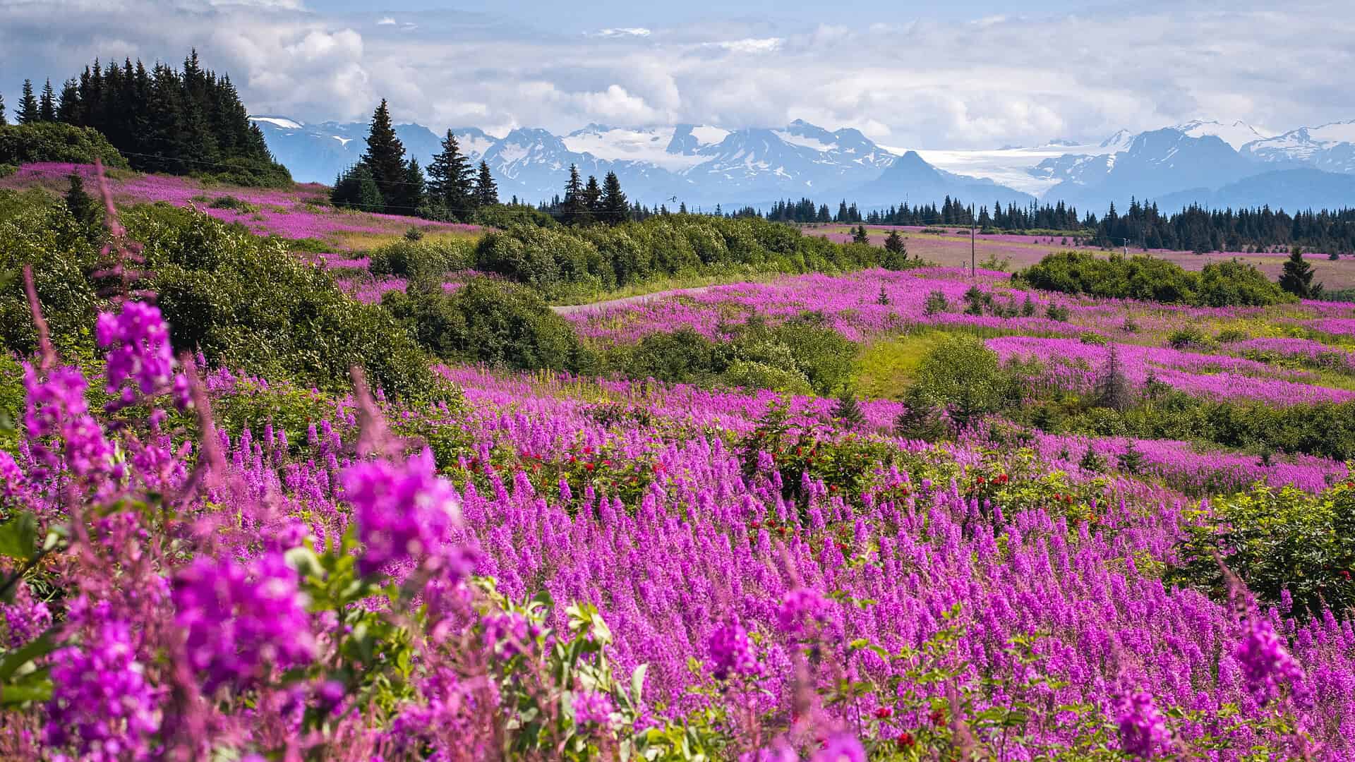 Best Small Towns in Alaska - One of the Best Small Towns in Alaska? Homer is my Pick Olson Mountain in Homer, Alaska. Photo by Homer Chamber of Commerce.
