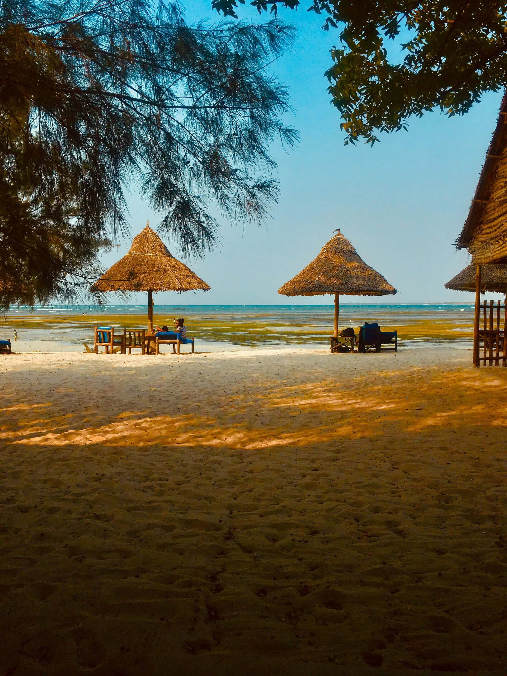 Tanzanian safari - 10 Reasons a Tanzanian Safari Should be on Your Bucket List A view of the beach and ocean in Tanzania