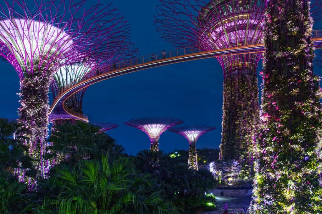 exploring singapore - Exploring Singapore: What you Need to Know Exploring Singapore - Gardens by the Bay