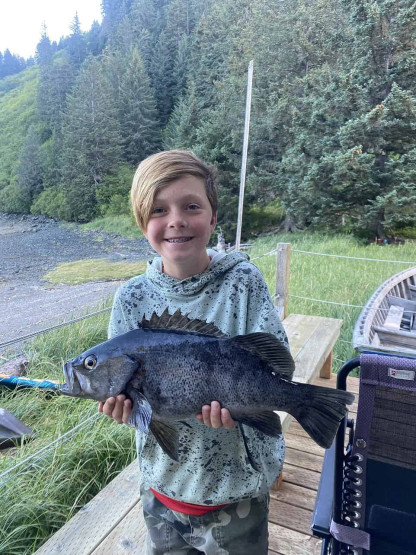 Rock Fish at the Treehouse Cove Lodge in Alaska, USA.