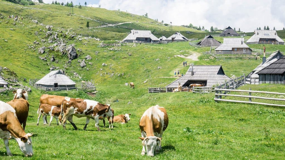 Velika Planina mountain plateau.