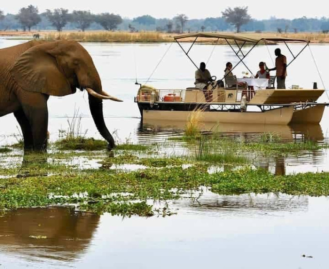 Day Trip to Chobe National Park - A Thrilling Day Trip to Chobe National Park, Botswana