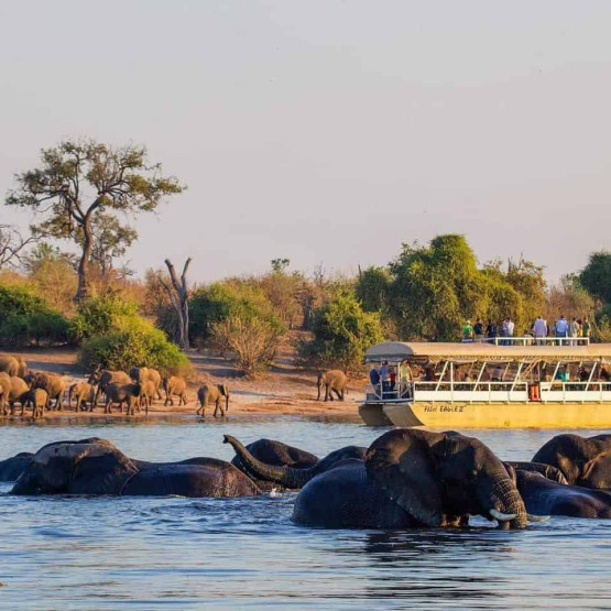 Day Trip to Chobe National Park - A Thrilling Day Trip to Chobe National Park, Botswana
