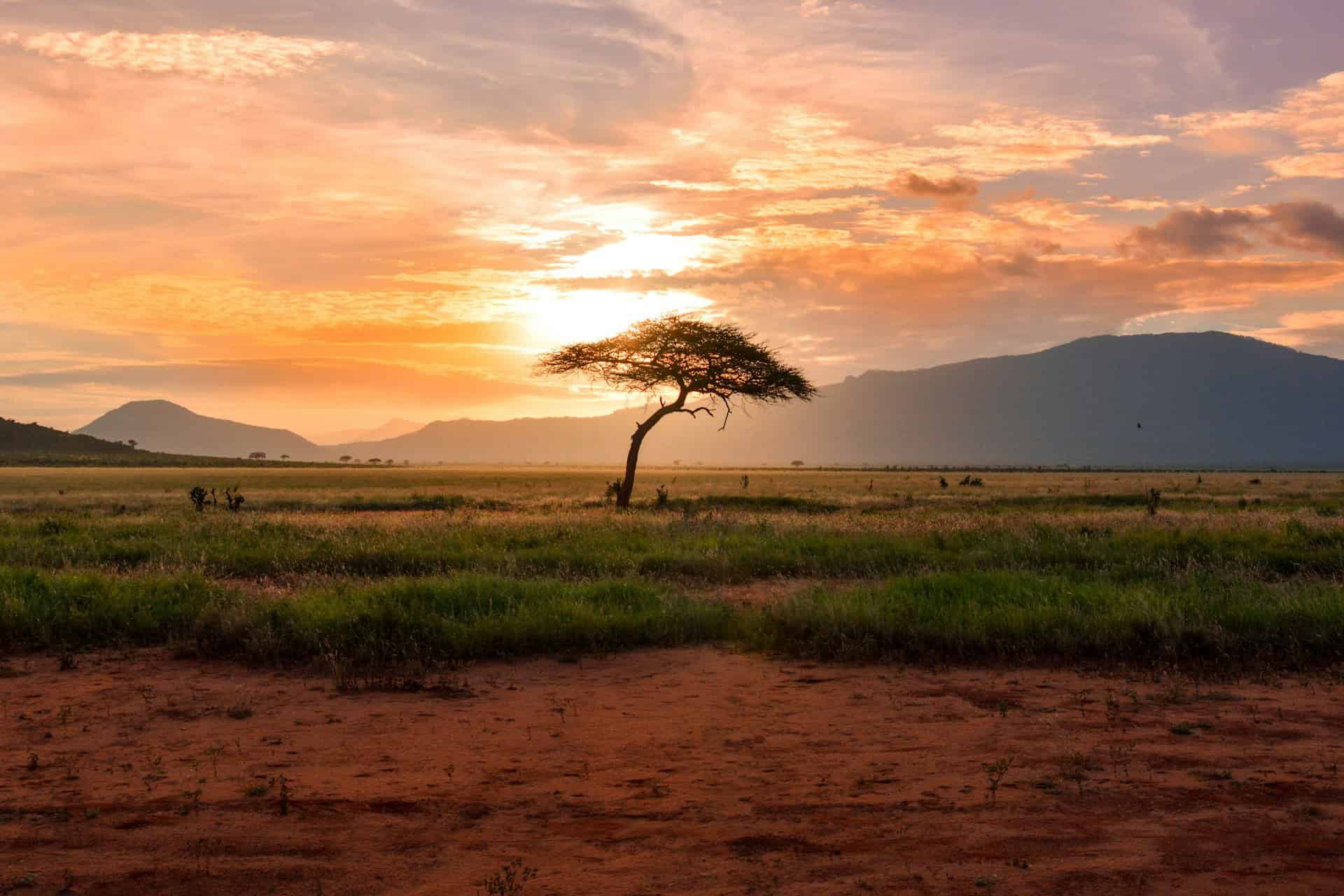 Tsavo National Park - A Guide to Visiting Tsavo National Park in Kenya Tsavo East National Park Kenya, Africa, Kenya