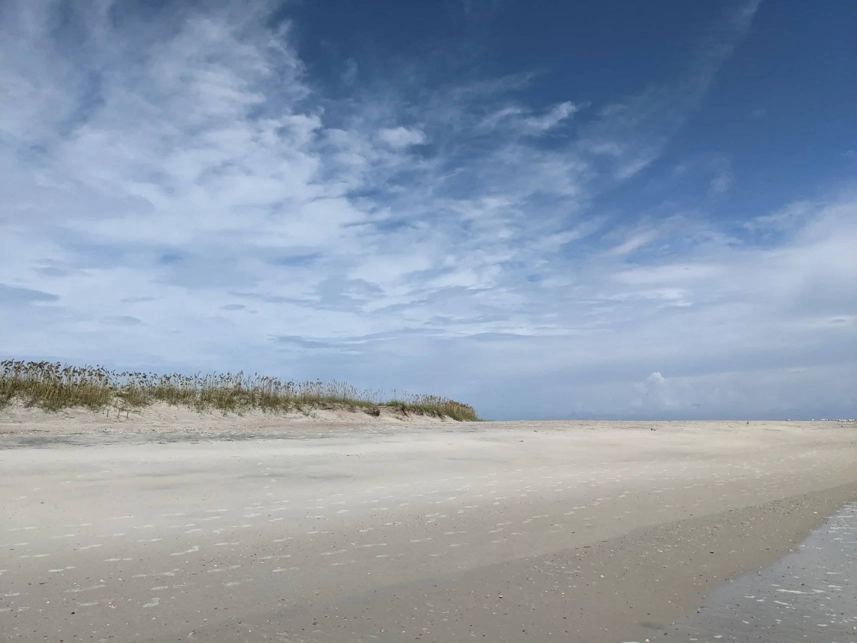 Day Trips from St. Augustine - 5 Best Day Trips from St. Augustine: Exploring Beyond The Ancient City Fernandina Beach in Florida