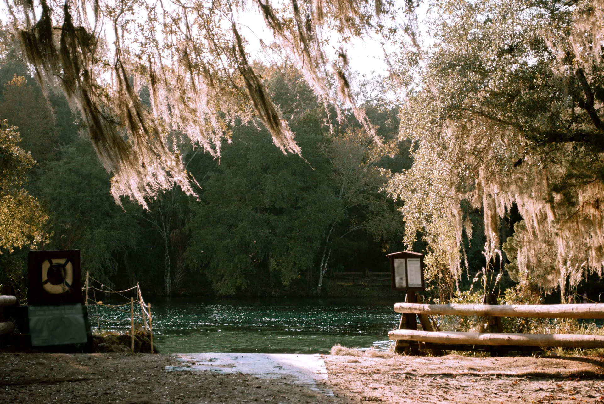 Day Trips from St. Augustine - 5 Best Day Trips from St. Augustine: Exploring Beyond The Ancient City Ocala National Forest near St. Augustine, Florida